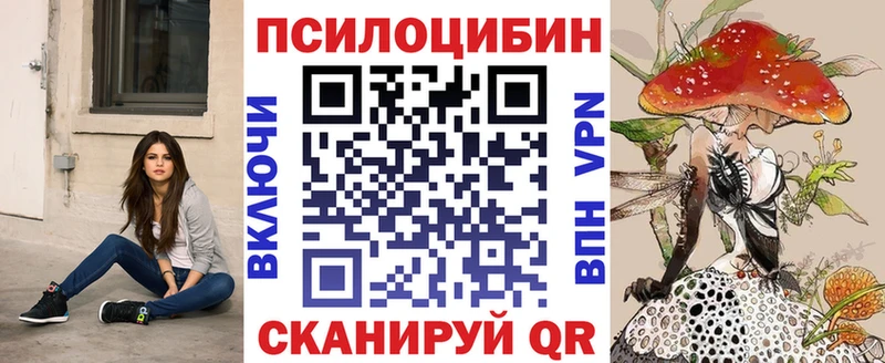 Галлюциногенные грибы Psilocybe  цены   Ужур 